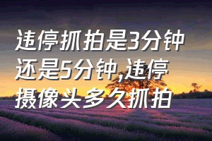 违停抓拍是3分钟还是5分钟（违停摄像头多久抓拍）