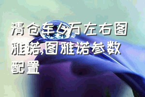 清仓车6万左右图雅诺（图雅诺参数配置）