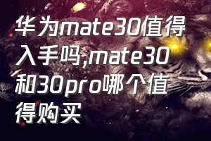 华为mate30值得入手吗（mate30和30pro哪个值得购买）