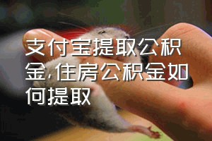 支付宝提取公积金（住房公积金如何提取）