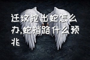 迁坟挖出蛇怎么办（蛇挡路什么预兆）