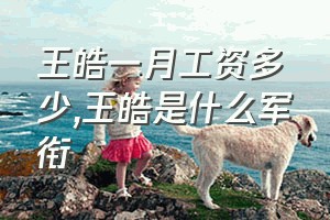 王皓一月工资多少（王皓是什么军衔）