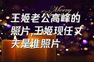 王姬老公高峰的照片（王姬现任丈夫是谁照片）