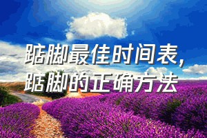 踮脚最佳时间表（踮脚的正确方法）