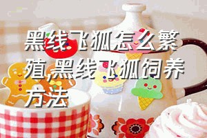 黑线飞狐怎么繁殖（黑线飞狐饲养方法）