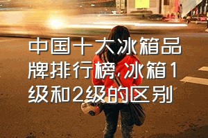 中国十大冰箱品牌排行榜（冰箱1级和2级的区别）