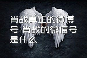 肖战真正的微博号（肖战的微信号是什么）