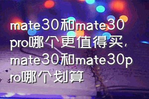 mate30和mate30 pro哪个更值得买（mate30和mate30pro哪个划算）