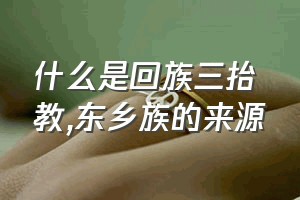 什么是回族三抬教（东乡族的来源）