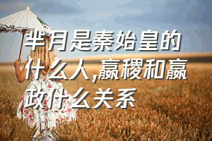 芈月是秦始皇的什么人（嬴稷和嬴政什么关系）