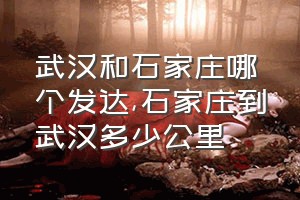 武汉和石家庄哪个发达（石家庄到武汉多少公里）