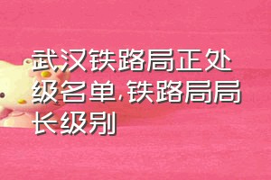 武汉铁路局正处级名单（铁路局局长级别）