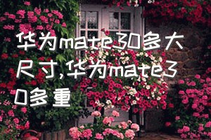 华为mate30多大尺寸（华为mate30多重）