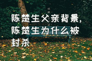 陈楚生父亲背景（陈楚生为什么被封杀）