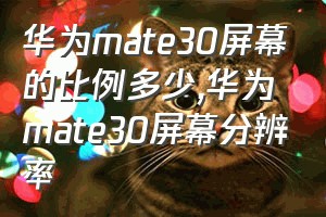 华为mate30屏幕的比例多少（华为mate30屏幕分辨率）