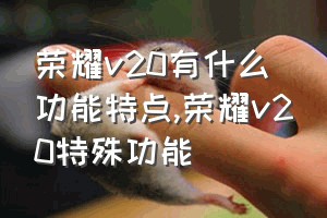 荣耀v20有什么功能特点（荣耀v20特殊功能）