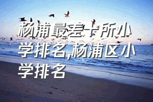 杨浦最差十所小学排名（杨浦区小学排名）