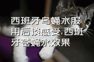 西班牙乌蝇水服用后谈感受（西班牙苍蝇水效果）