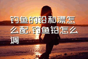 钓鱼的铅和漂怎么配（钓鱼铅怎么调）