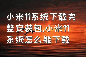 小米11系统下载完整安装包（小米11系统怎么能下载）