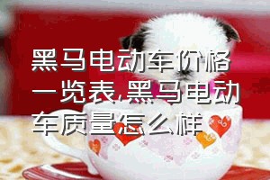 黑马电动车价格一览表（黑马电动车质量怎么样）