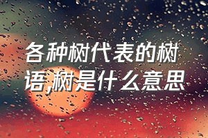 各种树代表的树语（树是什么意思）