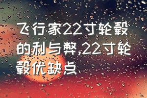 飞行家22寸轮毂的利与弊（22寸轮毂优缺点）