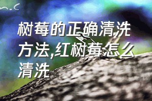 树莓的正确清洗方法（红树莓怎么清洗）