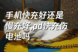 手机快充好还是慢充好（pd快充伤电池吗）