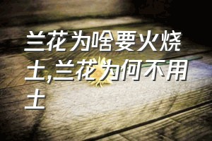 兰花为啥要火烧土（兰花为何不用土）