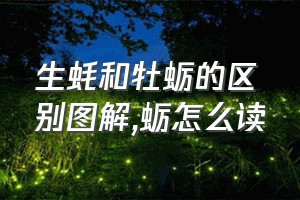 生蚝和牡蛎的区别图解（蛎怎么读）