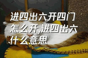 进四出六开四门怎么开（进四出六什么意思）