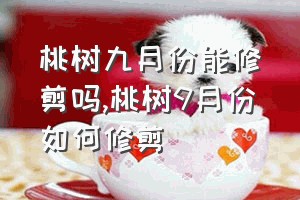 桃树九月份能修剪吗（桃树9月份如何修剪）