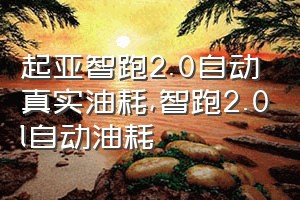 起亚智跑2.0自动真实油耗（智跑2.0l自动油耗）