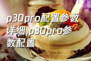 p30pro配置参数详细（p30pro参数配置）