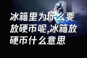 冰箱里为什么要放硬币呢（冰箱放硬币什么意思）