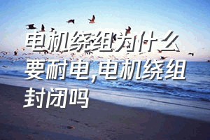 电机绕组为什么要耐电（电机绕组封闭吗）