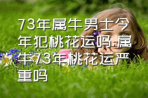 73年属牛男士今年犯桃花运吗（属牛73年桃花运严重吗）