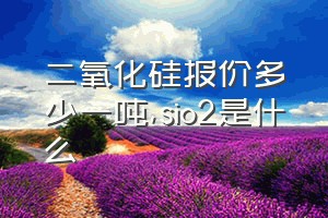 二氧化硅报价多少一吨（sio2是什么）