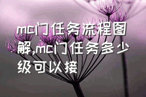 mc门任务流程图解（mc门任务多少级可以接）