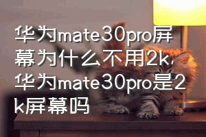 华为mate30pro屏幕为什么不用2k（华为mate30pro是2k屏幕吗）