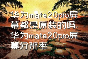 华为mate20pro屏幕都是原装的吗（华为mate20pro屏幕分辨率）