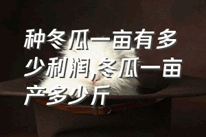 种冬瓜一亩有多少利润（冬瓜一亩产多少斤）