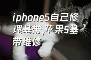 iphone5自己修理基带（苹果5基带维修）