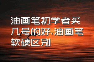 油画笔初学者买几号的好（油画笔软硬区别）