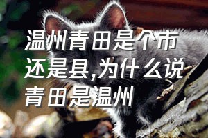 温州青田是个市还是县（为什么说青田是温州）