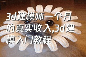 3d建模师一个月的真实收入（3d建模入门教程）