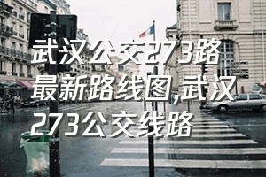 武汉公交273路最新路线图（武汉273公交线路）