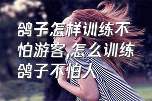 鸽子怎样训练不怕游客（怎么训练鸽子不怕人）