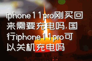 iphone11pro刚买回来需要充电吗（国行iphone11pro可以关机充电吗）